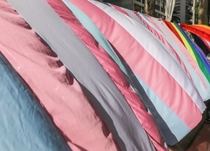 Bandeira Trans — Foto: Celso Tavares/g1