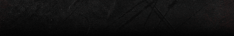 22 á 31 - Banner TOP - Secom PI 39054