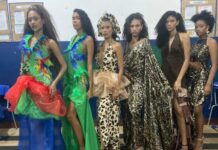 DO AVESSO AO LUXO: ITAMAR COIMBRA CELEBRA A FAUNA PANTANEIRA EM COLEÇÃO ESPETACULAR!