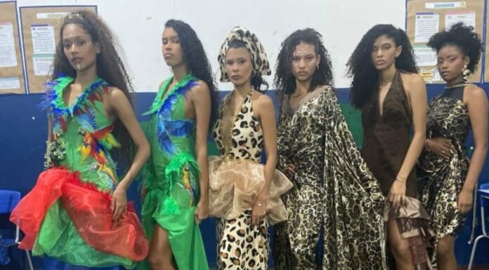 DO AVESSO AO LUXO: ITAMAR COIMBRA CELEBRA A FAUNA PANTANEIRA EM COLEÇÃO ESPETACULAR!