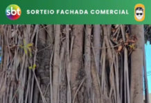 Promoção para novos empreendedores se sua empresa tem entre 1 e 2 anos, essa é a sua chance!