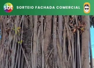 Promoção para novos empreendedores se sua empresa tem entre 1 e 2 anos, essa é a sua chance!