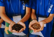 GreenFarm recebe cerca de 200 estudantes e conecta as crianças ao universo do agronegócio