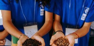 GreenFarm recebe cerca de 200 estudantes e conecta as crianças ao universo do agronegócio