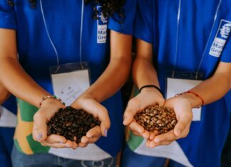 GreenFarm recebe cerca de 200 estudantes e conecta as crianças ao universo do agronegócio
