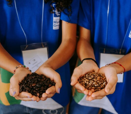 GreenFarm recebe cerca de 200 estudantes e conecta as crianças ao universo do agronegócio