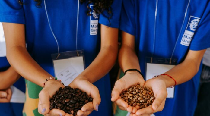 GreenFarm recebe cerca de 200 estudantes e conecta as crianças ao universo do agronegócio