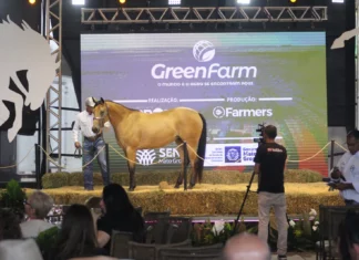 🐎 A GreenFarm 2026 abre sua programação de leilões no dia 27 de maio com a Noite de Gala do Quarto de Milha, reunindo cavalos de alta genética e linhagem.