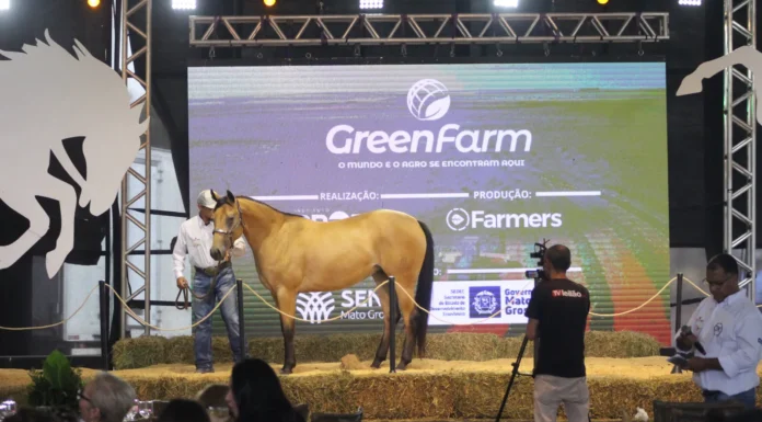 🐎 A GreenFarm 2026 abre sua programação de leilões no dia 27 de maio com a Noite de Gala do Quarto de Milha, reunindo cavalos de alta genética e linhagem.