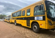 Frota do transporte escolar cresce 178% e Chapada dos Guimarães passa de 18 para 50 ônibus