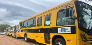 Frota do transporte escolar cresce 178% e Chapada dos Guimarães passa de 18 para 50 ônibus
