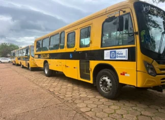 Frota do transporte escolar cresce 178% e Chapada dos Guimarães passa de 18 para 50 ônibus