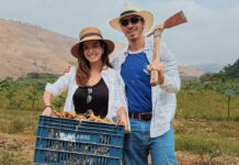 Giovanna Lancellotti e Gabriel David curtem colheita em fazenda: ‘Colheita e amor’